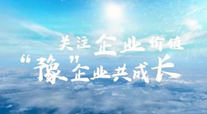 關(guān)注行業(yè)價值，豫企業(yè)共成長--青峰網(wǎng)絡(luò)